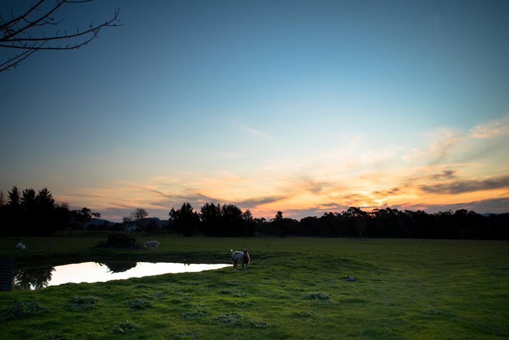 Sanctuary Park Healesville